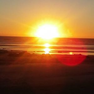 Meet your Posher, Shane